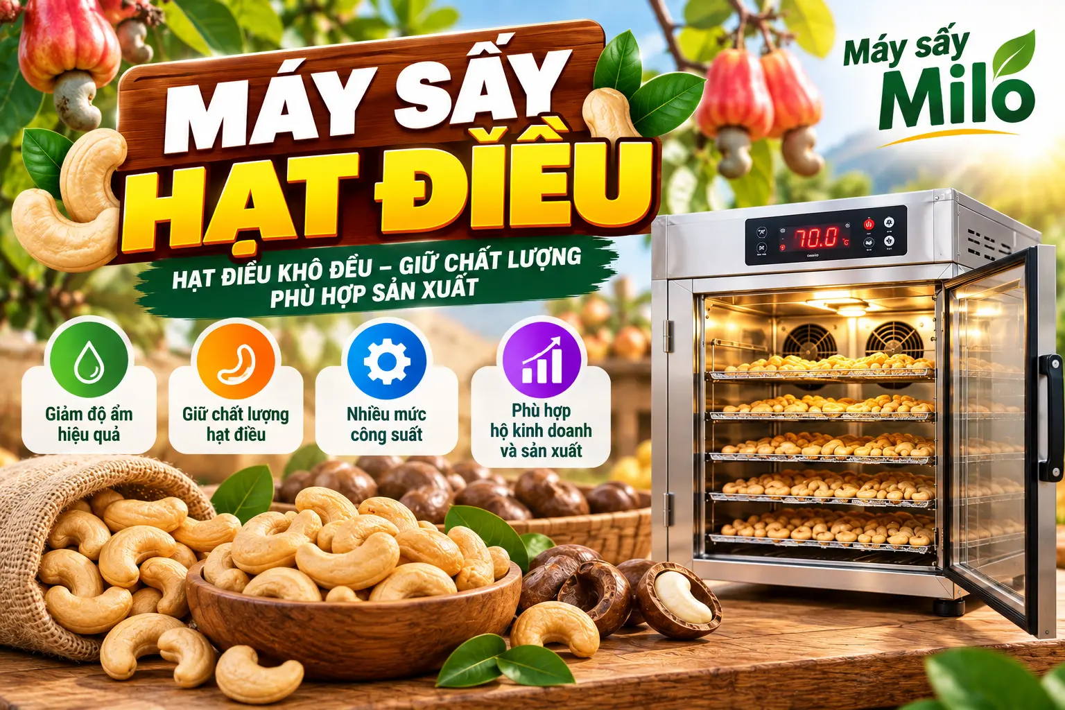 Máy sấy hạt điều