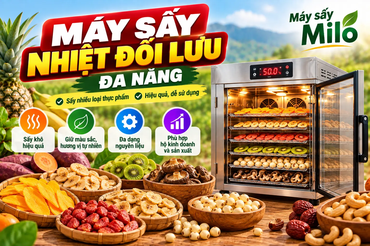 Máy sấy nhiệt đối lưu đa năng