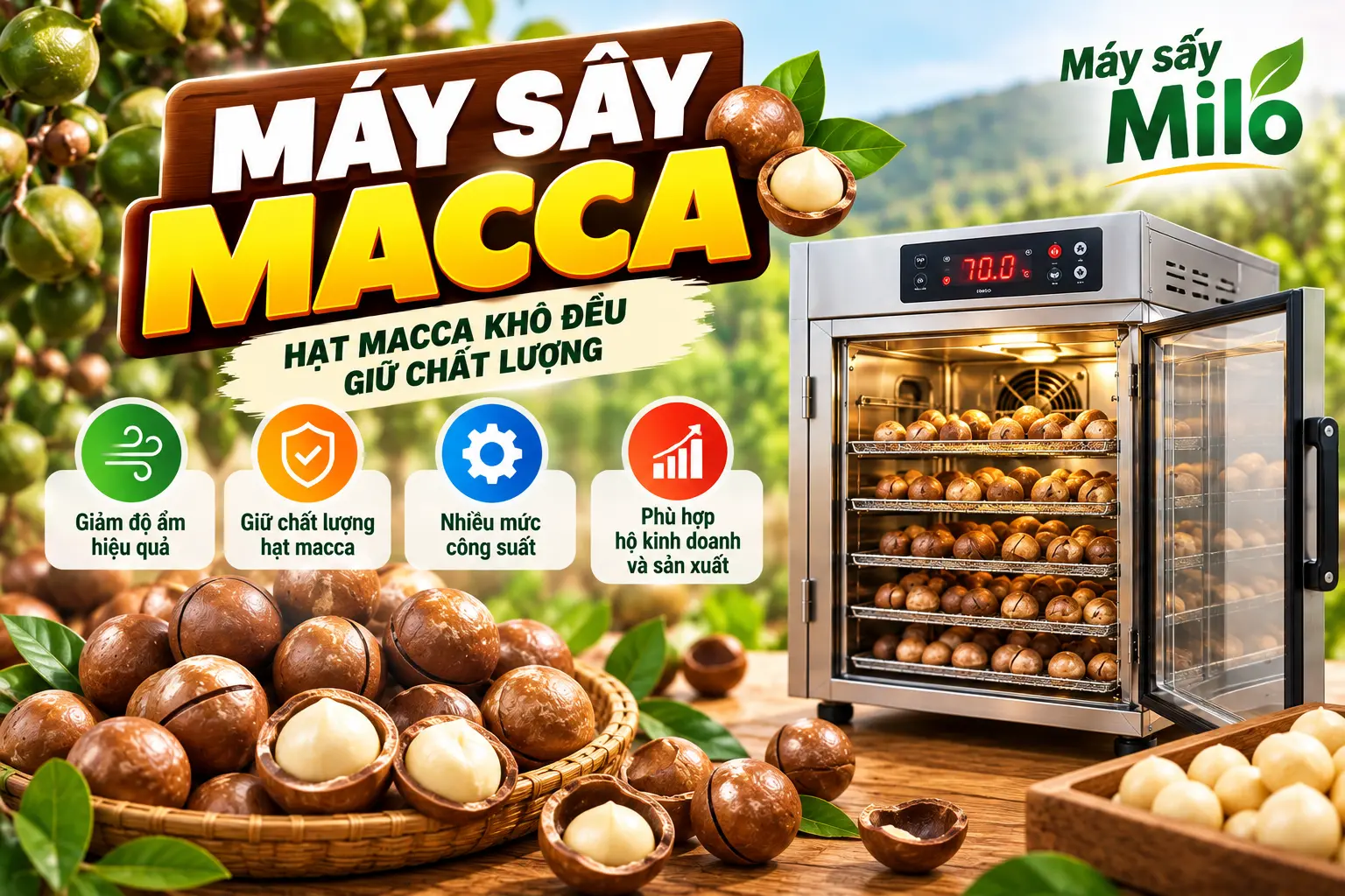 Máy sấy quả macca