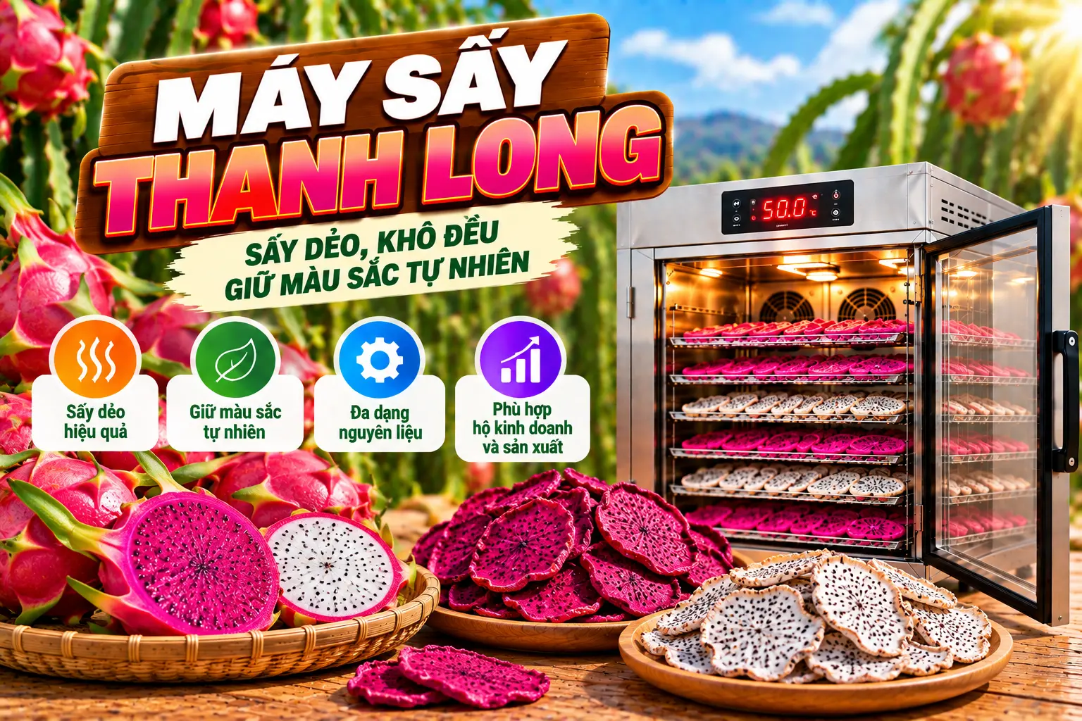 Máy Sấy Thanh Long